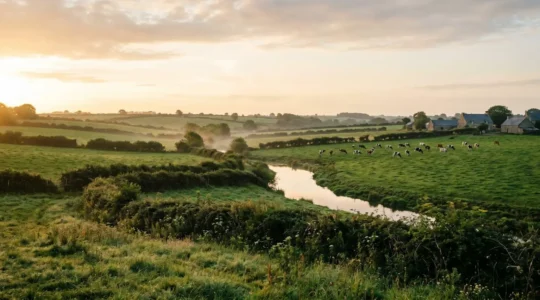 Paysage agricole breton avec bocage, prairie et vaches illustrant l'équilibre entre production agricole et protection de l'environnement