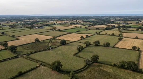 Vue aérienne d'une mosaïque de champs bretons entourés de haies bocagères, illustrant l'étendue des terres agricoles régionales
