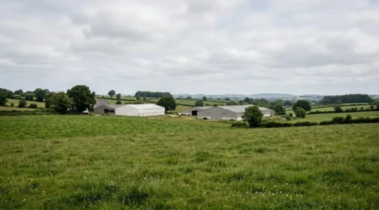 Paysage agricole breton avec prairies verdoyantes et bâtiments d'élevage sous ciel océanique typique de la région
