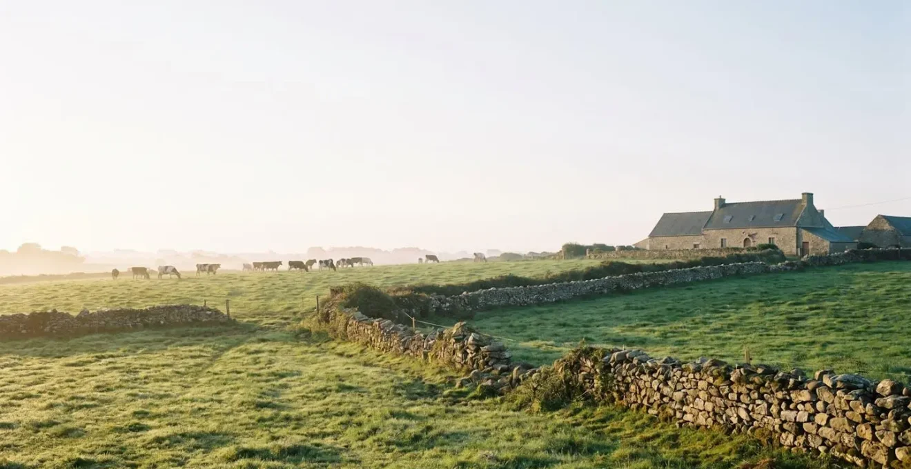 Vue panoramique d'une exploitation agricole biologique bretonne au lever du jour, avec pâturages verdoyants et bâtiments traditionnels en pierre