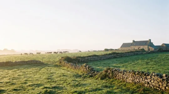 Vue panoramique d'une exploitation agricole biologique bretonne au lever du jour, avec pâturages verdoyants et bâtiments traditionnels en pierre