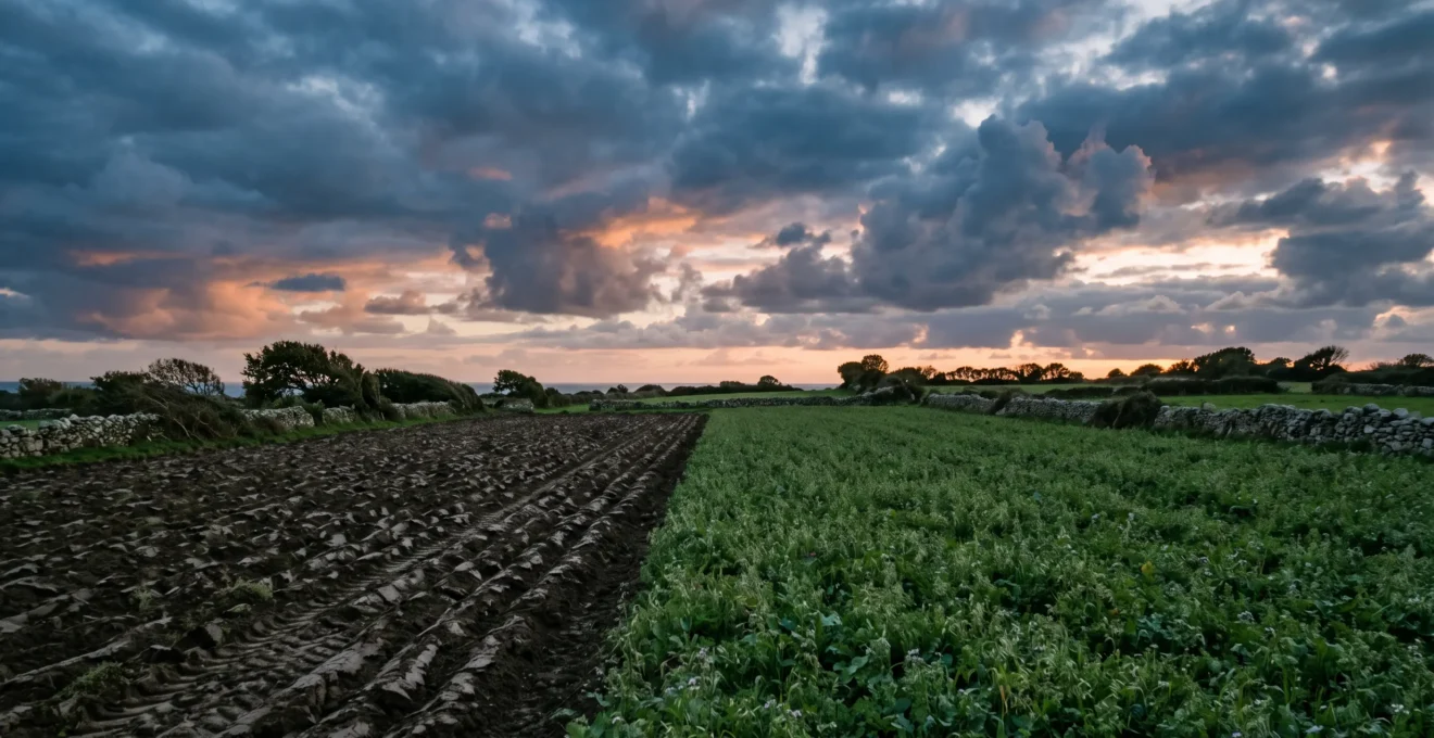 Champ breton en fin d'automne partagé entre une parcelle labourée et une parcelle en couverture végétale, sous un ciel océanique changeant