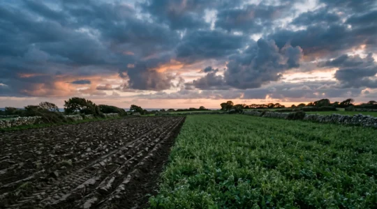 Champ breton en fin d'automne partagé entre une parcelle labourée et une parcelle en couverture végétale, sous un ciel océanique changeant