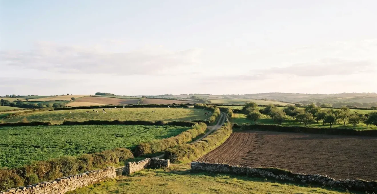 Vue panoramique d'un paysage agricole breton montrant une mosaïque de parcelles cultivées selon des pratiques différentes, séparées par des haies bocagères