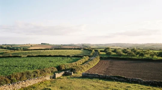 Vue panoramique d'un paysage agricole breton montrant une mosaïque de parcelles cultivées selon des pratiques différentes, séparées par des haies bocagères