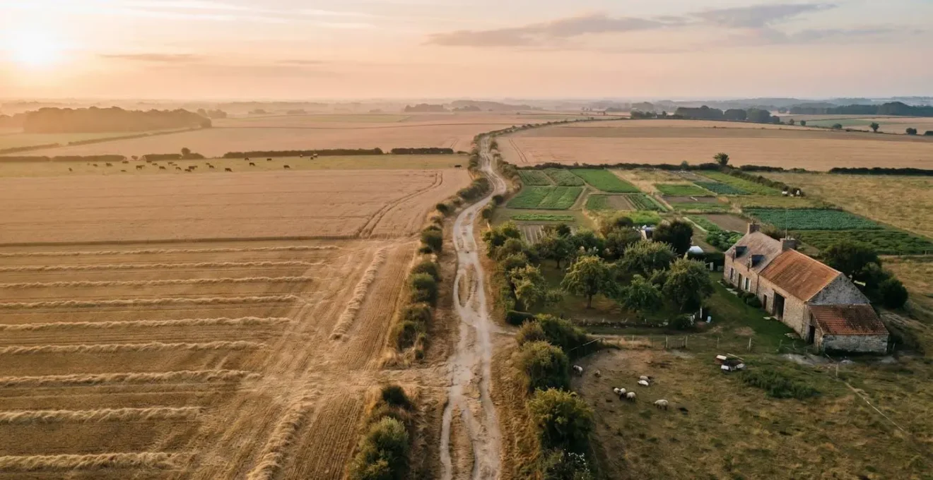 Vue aérienne d'un paysage agricole breton en damier, symbolisant la question de la part de production locale dans l'alimentation régionale